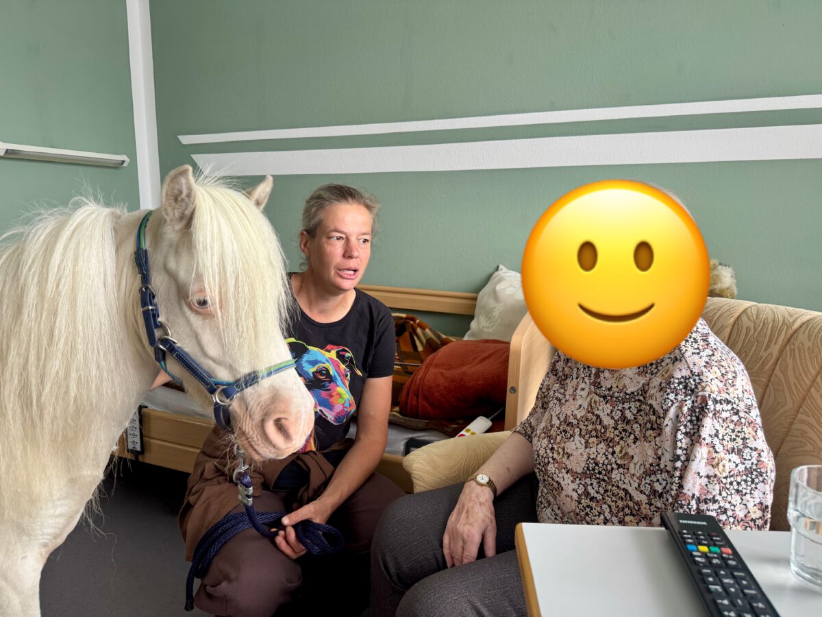 Du betrachtest gerade Tierbesuche und philosophische Gedanken