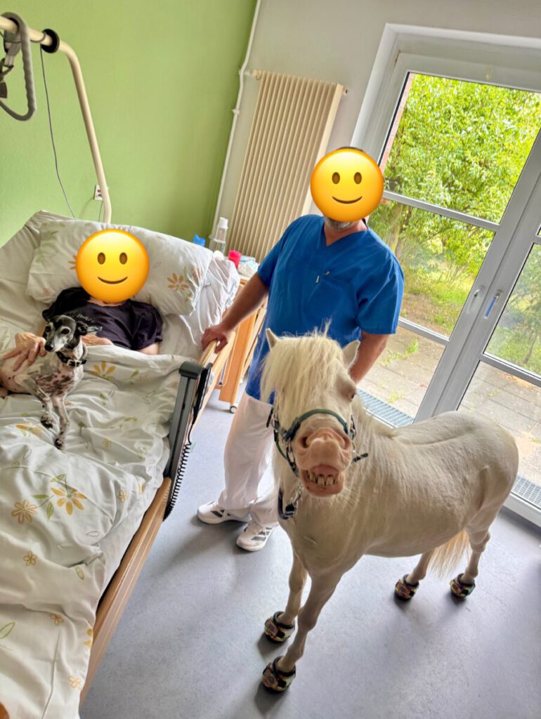 Tierbesuche im Pflegeheim