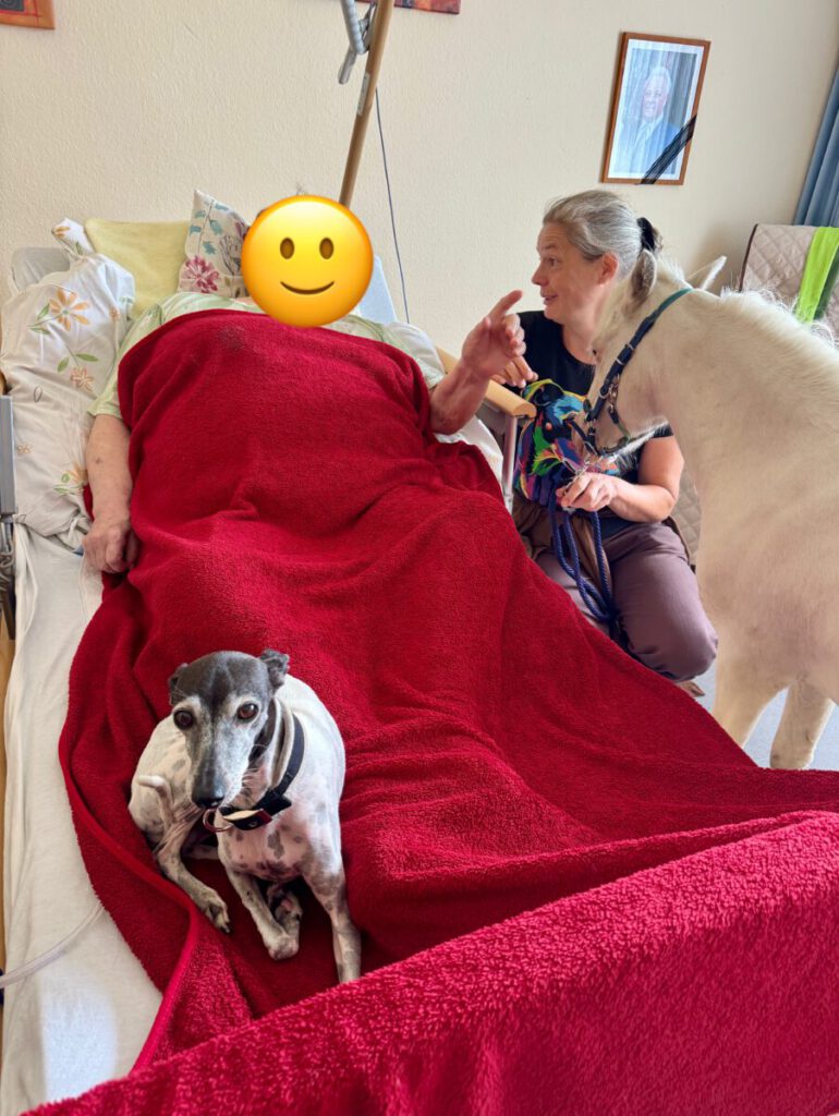 Tiergestützte Therapie mit Miniaturpferd