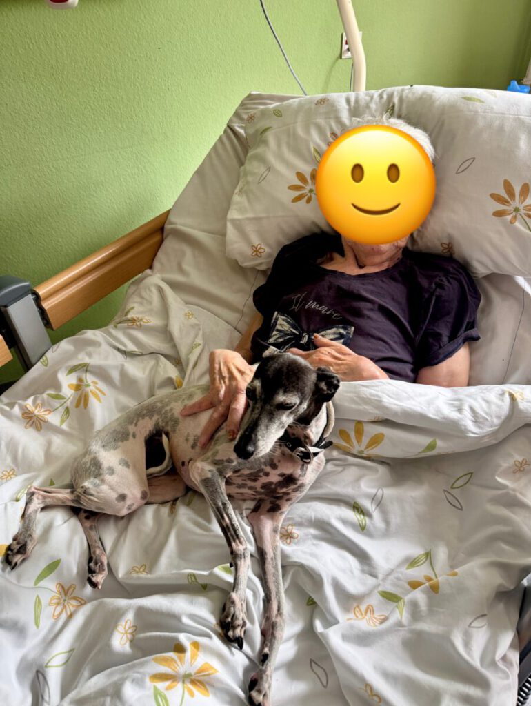 Tierbesuchsdienst