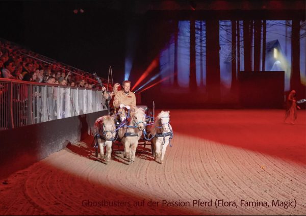 American Miniature Horses auf der Passion Pferd