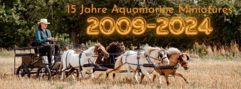 Aktuelles aus der Miniaturpferdezucht